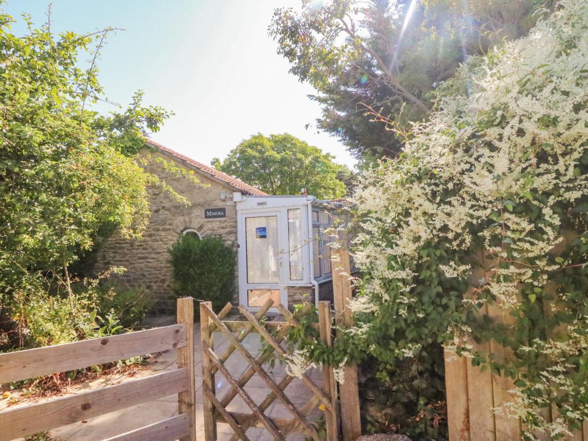 Mimosa Cottage Swyre Exteriér fotografie